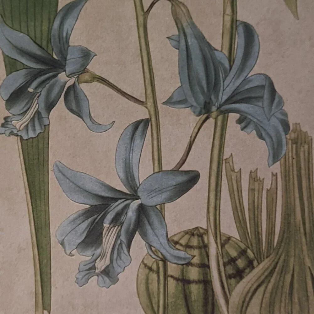 NWT Blue Floral Botanical Farmhouse Vintage Home Wall Decor Michaels Ashland NEW - Picture 3 of 7